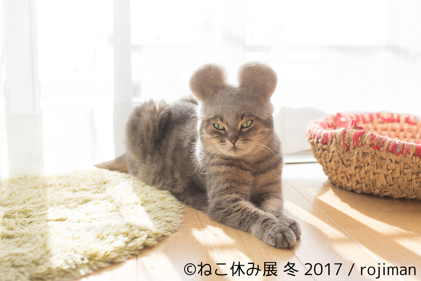 ねこ休み展 冬 17 が東京で開催 累計万人を動員した人気イベント みんなのねこ部 ねこ休み展 冬 17 が東京で開催 累計万人を動員した人気イベント みんなのねこ部